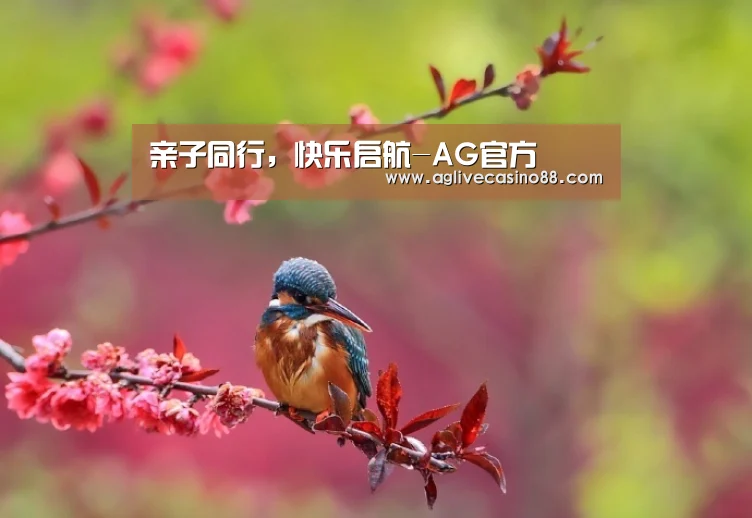 亲子同行,快乐启航-AG官方(图4) AG直播
